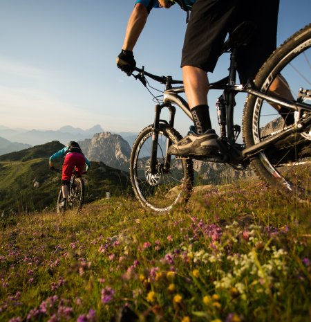 Mountainbiken über blühende Almwiesen