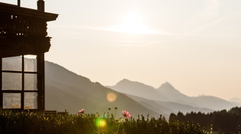 Sonnenaufgang mit Blumen und Hüttendach