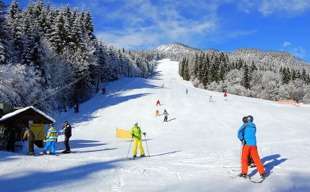 Skifahrer auf einer schneebedeckten Piste vor verschneiten Bäumen und blauem Himmel